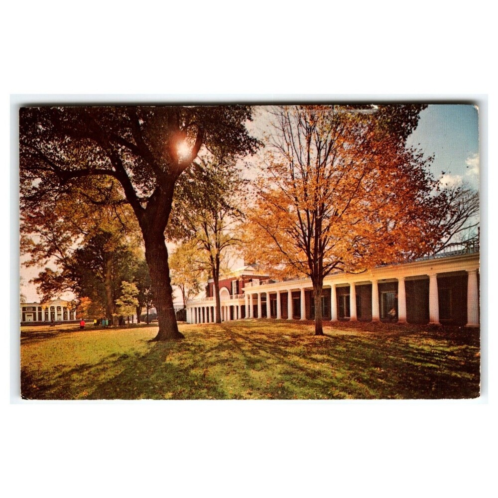 UVA The Lawn Pavilion Thomas Jefferson Academic Village Postcard Dexter Press